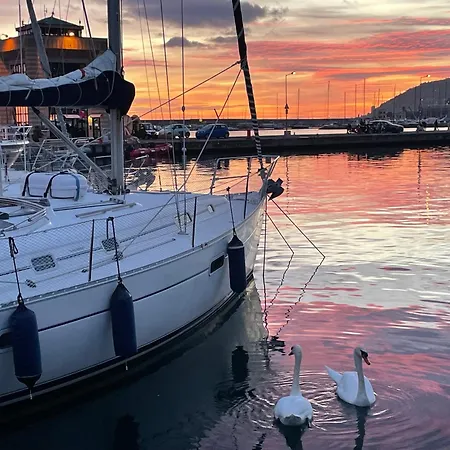 Deliziosa Barca A Vela In Esclusiva Con Parcheggio Gratuito *
